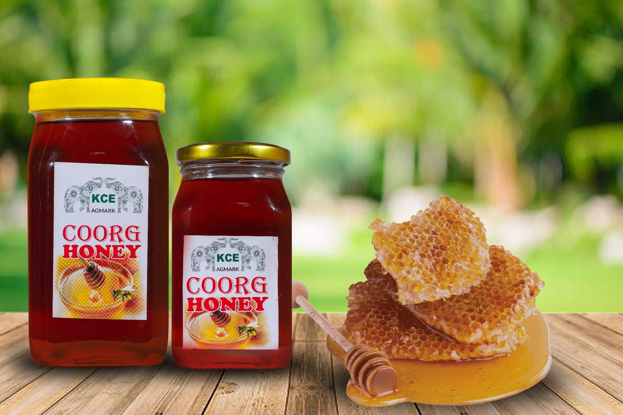 Kodagu Honey: A Taste of the Western Ghats
