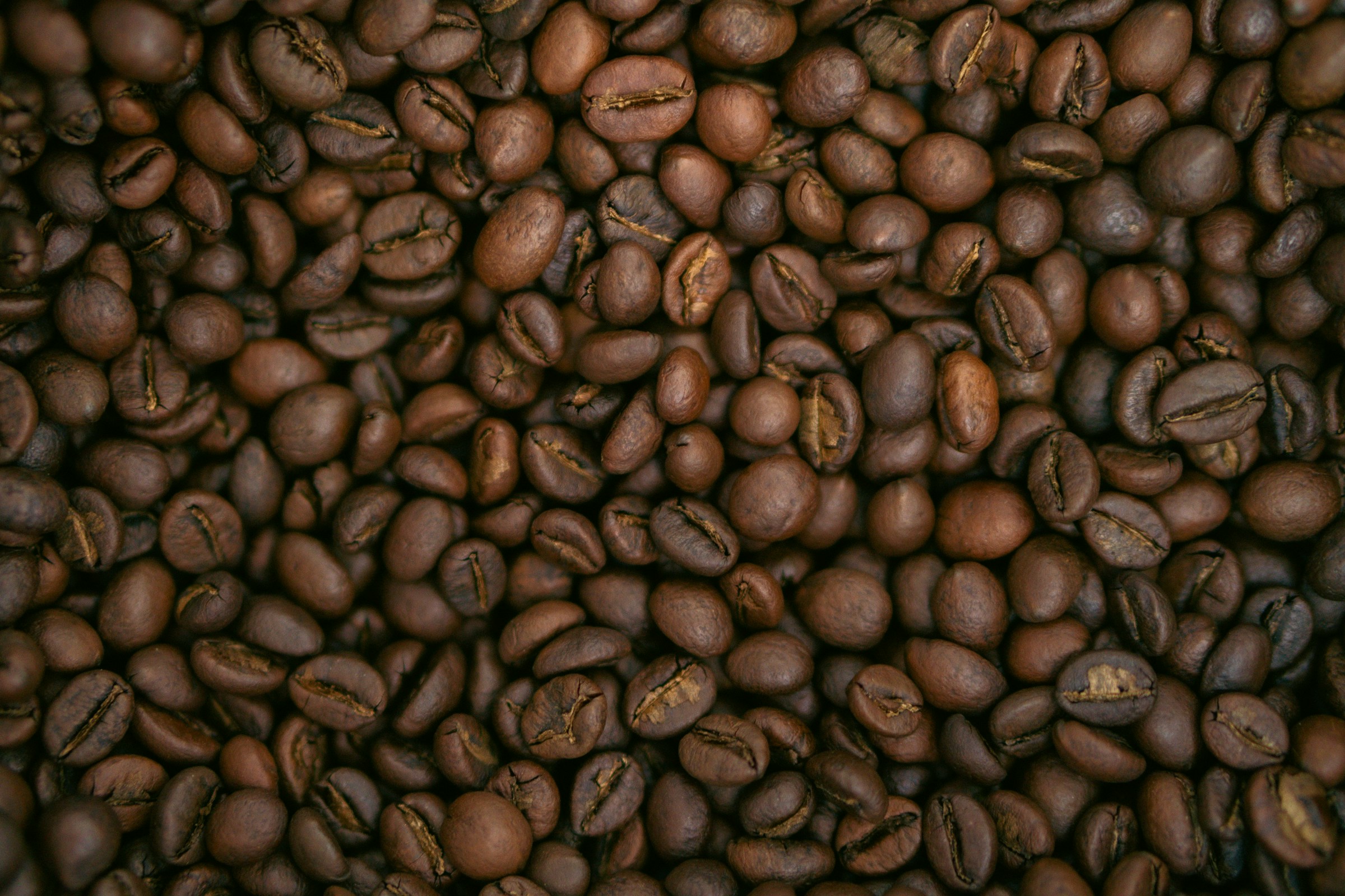 Exploring the Diversity of Arabica Coffee Varieties