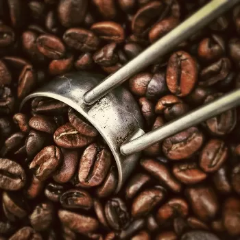 Healthy Coffee Consumption: Tips for Managing Coffee Obsession